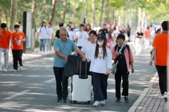 或者是一些手艺研发方面的问